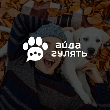 Фирменный стиль сайта «Айда Гулять»